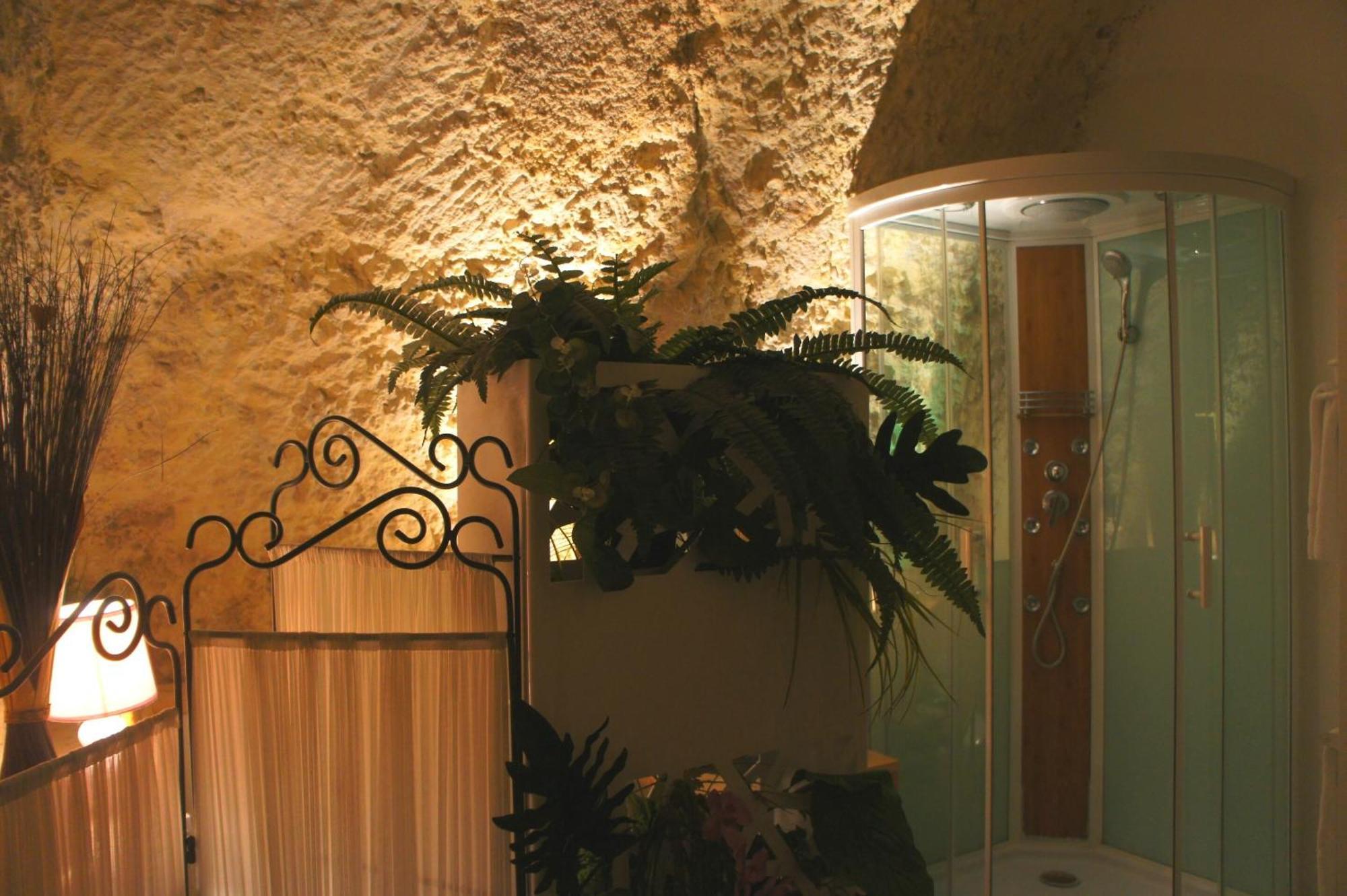 Chambres D'Hotes Troglodytes Le Clos De L'Hermitage 阿姆博斯 外观 照片